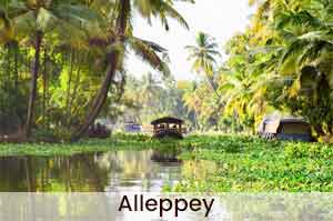 Alleppey